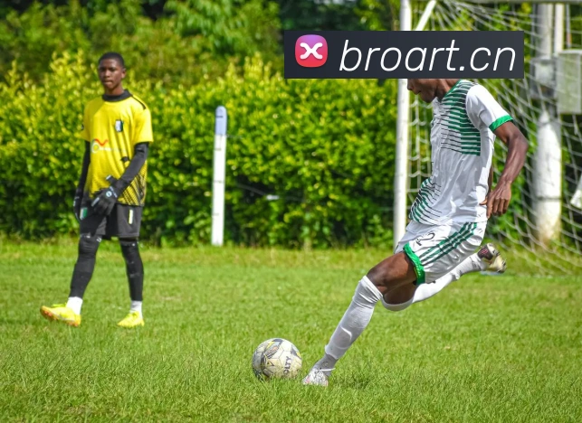 多媒体互动体验